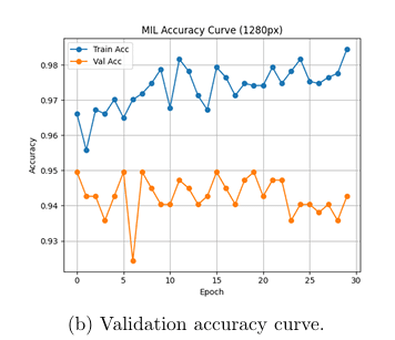 Training & Validation Accuracy Curve