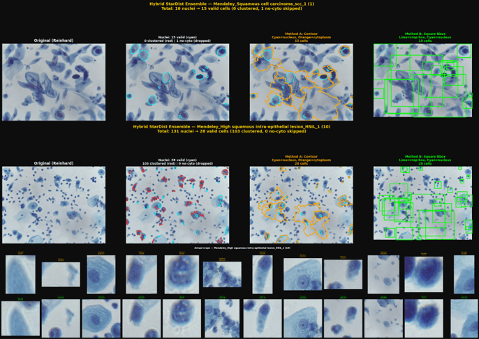 Cell Detail