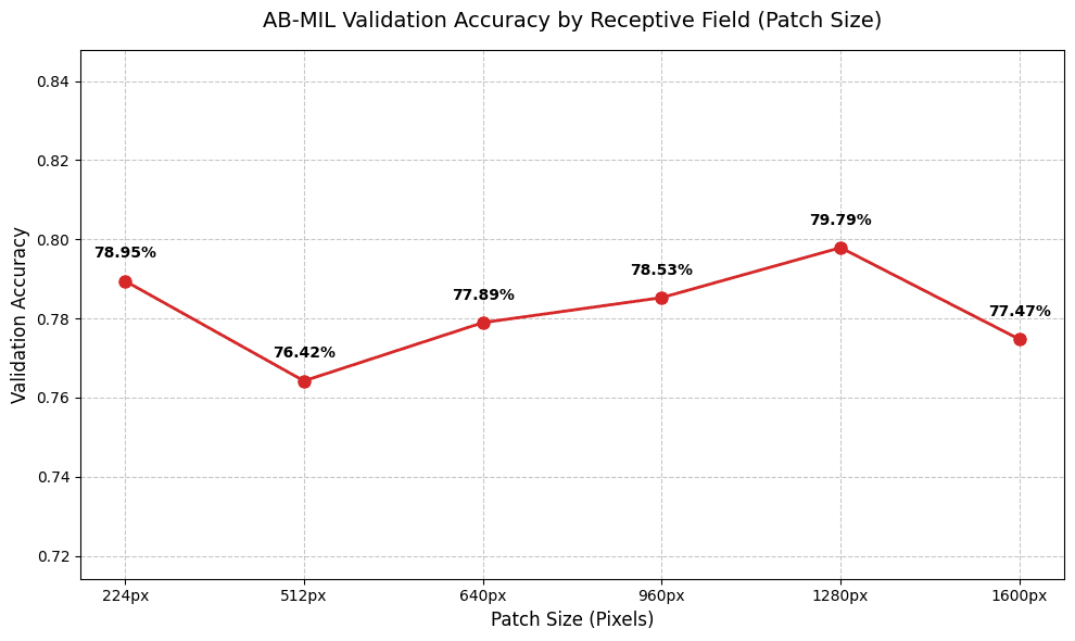 Chart showing patch size versus model accuracy