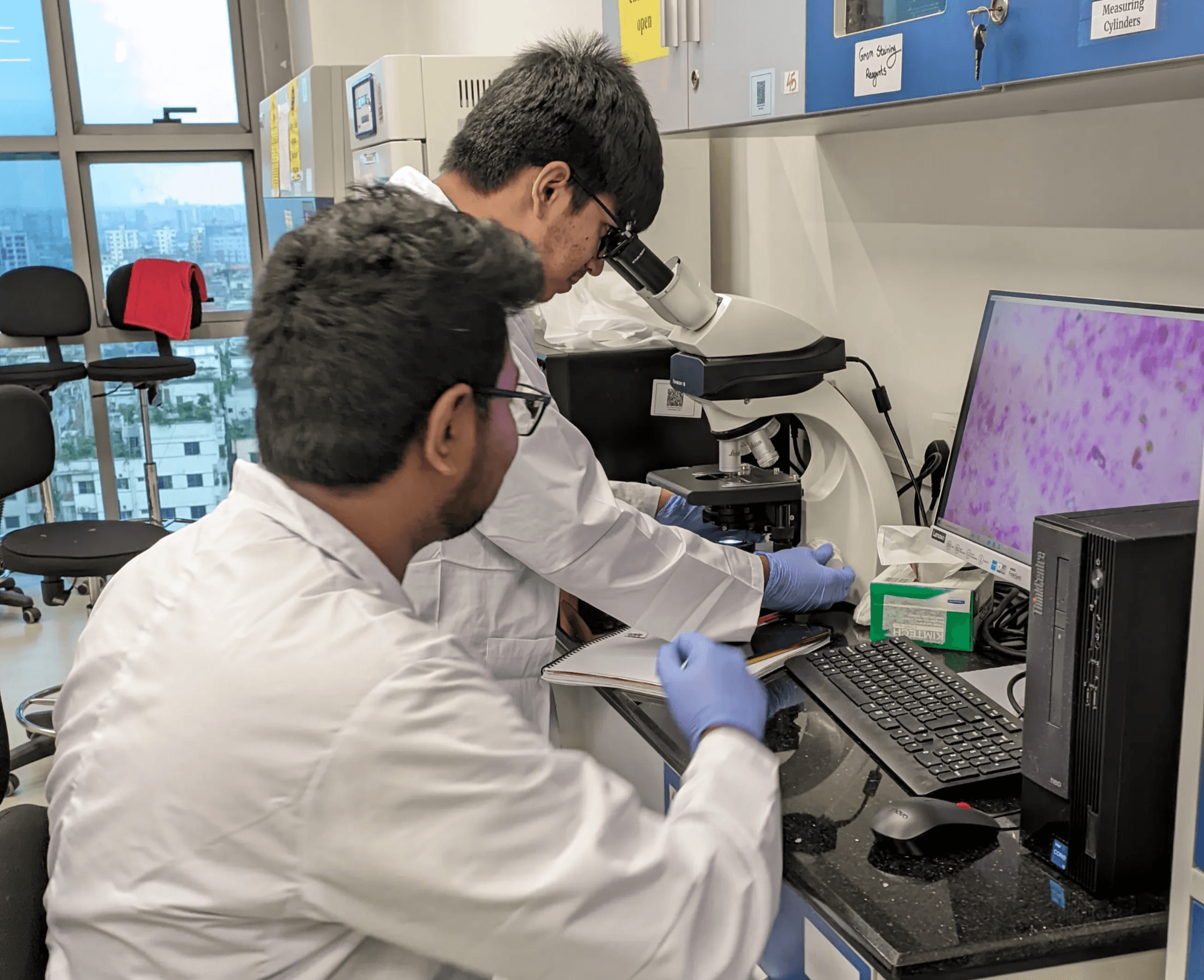 Microscopy session — 40× Leica DM500